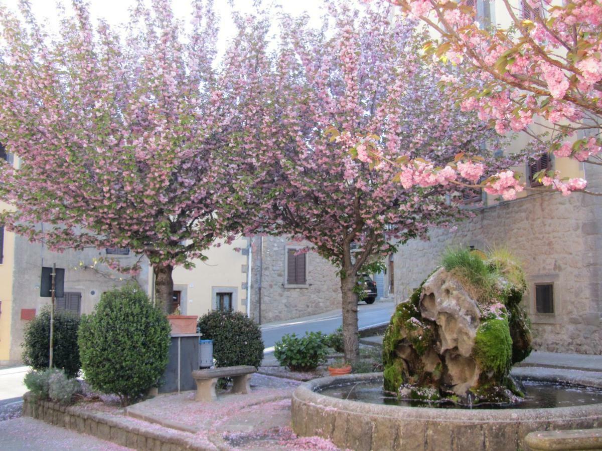 Casa Giuly Appartement Vivo dʼOrcia Buitenkant foto